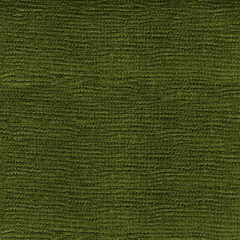 Kronos Forest 0020